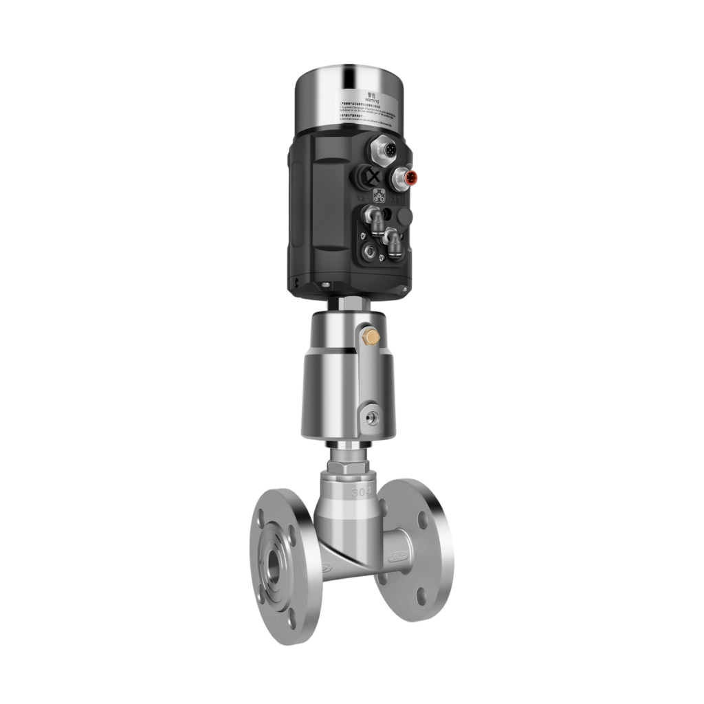 1600 positioner globe valve
