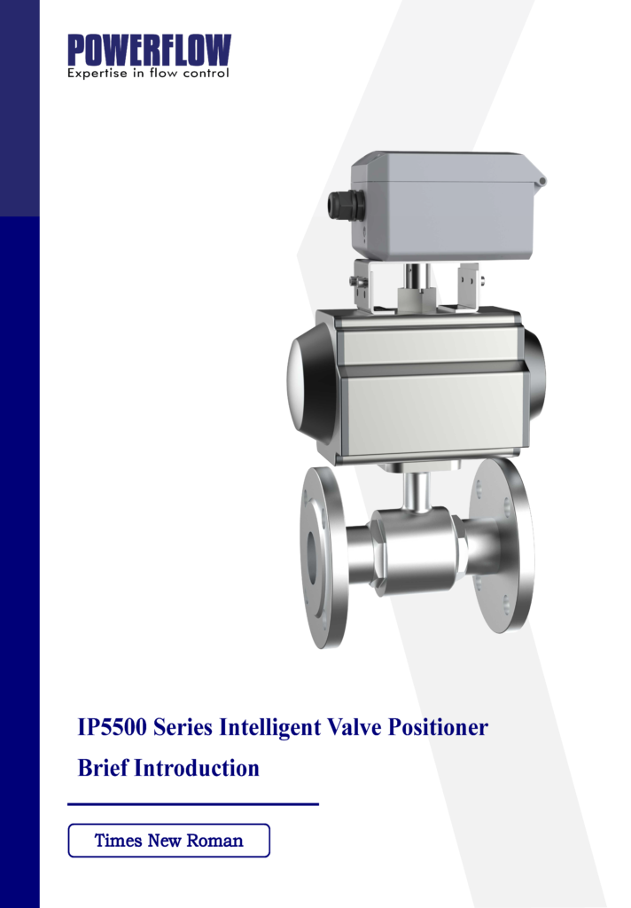 IP5500 Positioner Brief Introduction EN