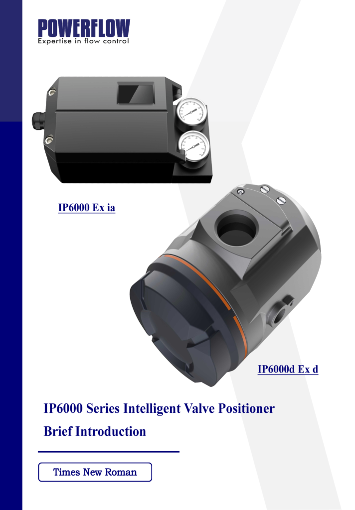 IP6000 & IP6000d Positioner Brief Introduction-EN