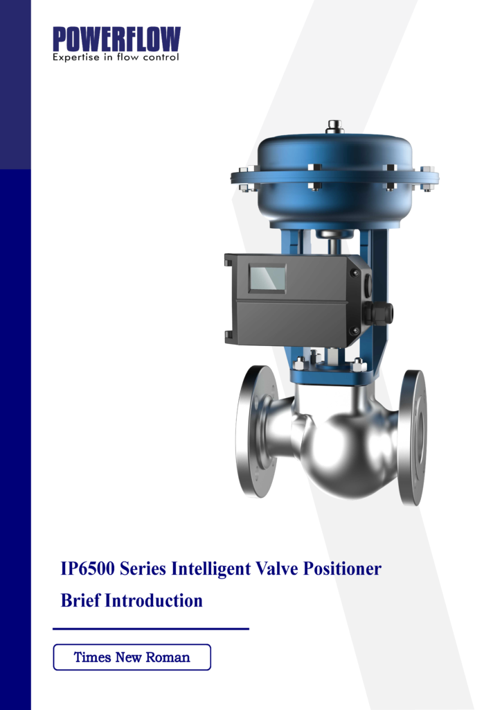 IP6500 Positioner Brief Introduction EN